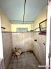 listing thumbnail image 31