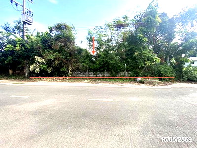 ขายที่ดิน : ที่ดินว่างเปล่า 205.9 ตร.วา โพธิ์ชัย ร้อยเอ็ด 1M