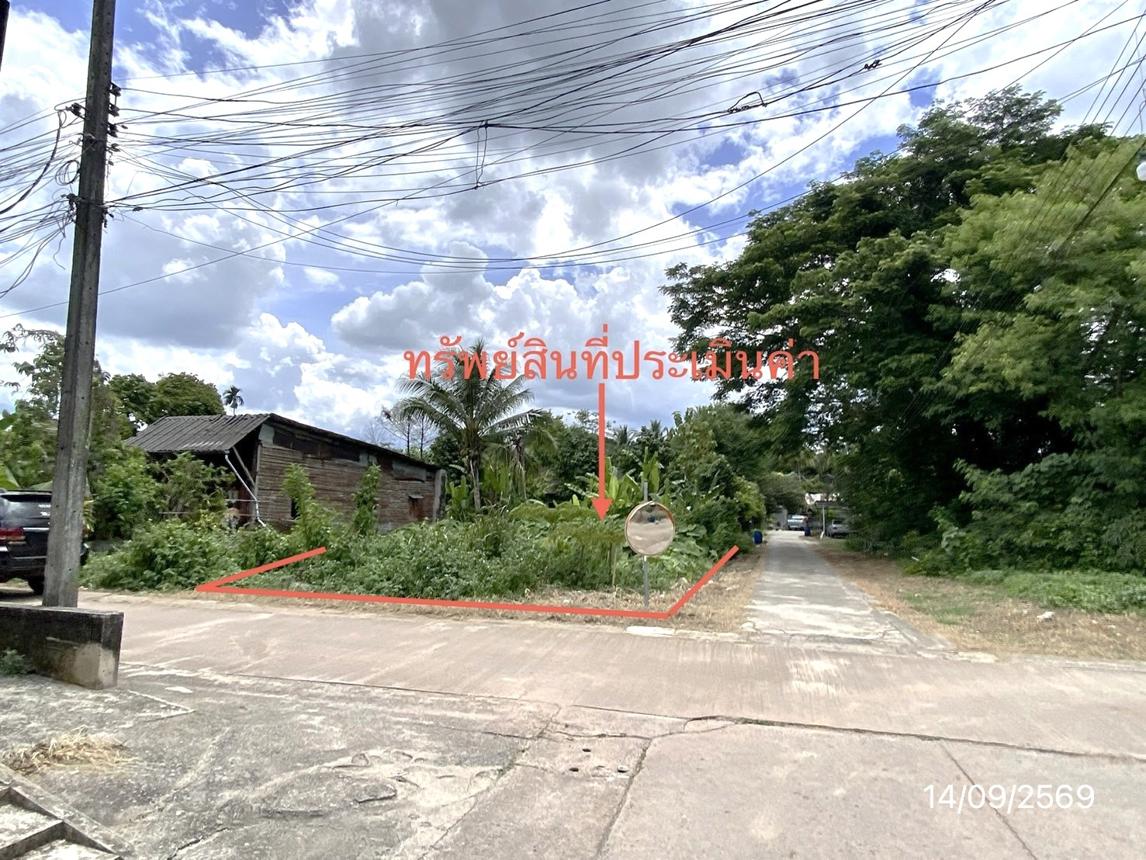 picture LAND 25.3 Sq.w. Thung Song Nakhon Sri Thammarat for 661,000 - 13/17