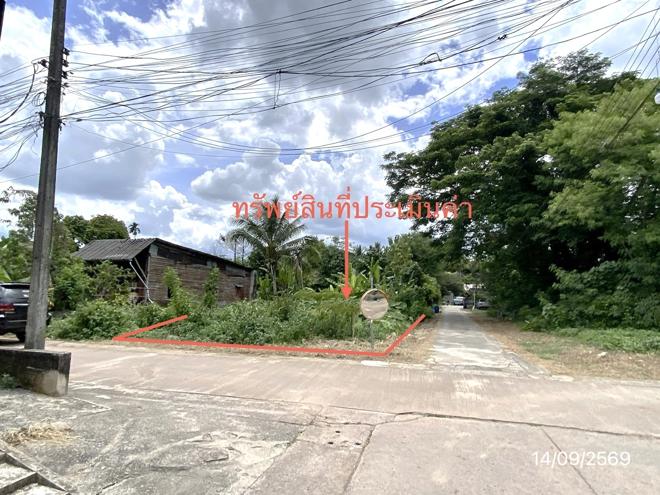 picture LAND 25.3 Sq.w. Thung Song Nakhon Sri Thammarat for 661,000 - 7/17