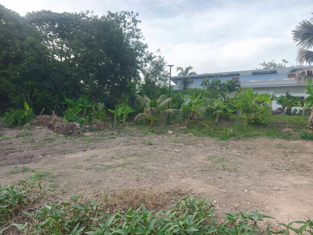 picture HOT PROPERTY FOR RENT IN PHUKET! - 2/3