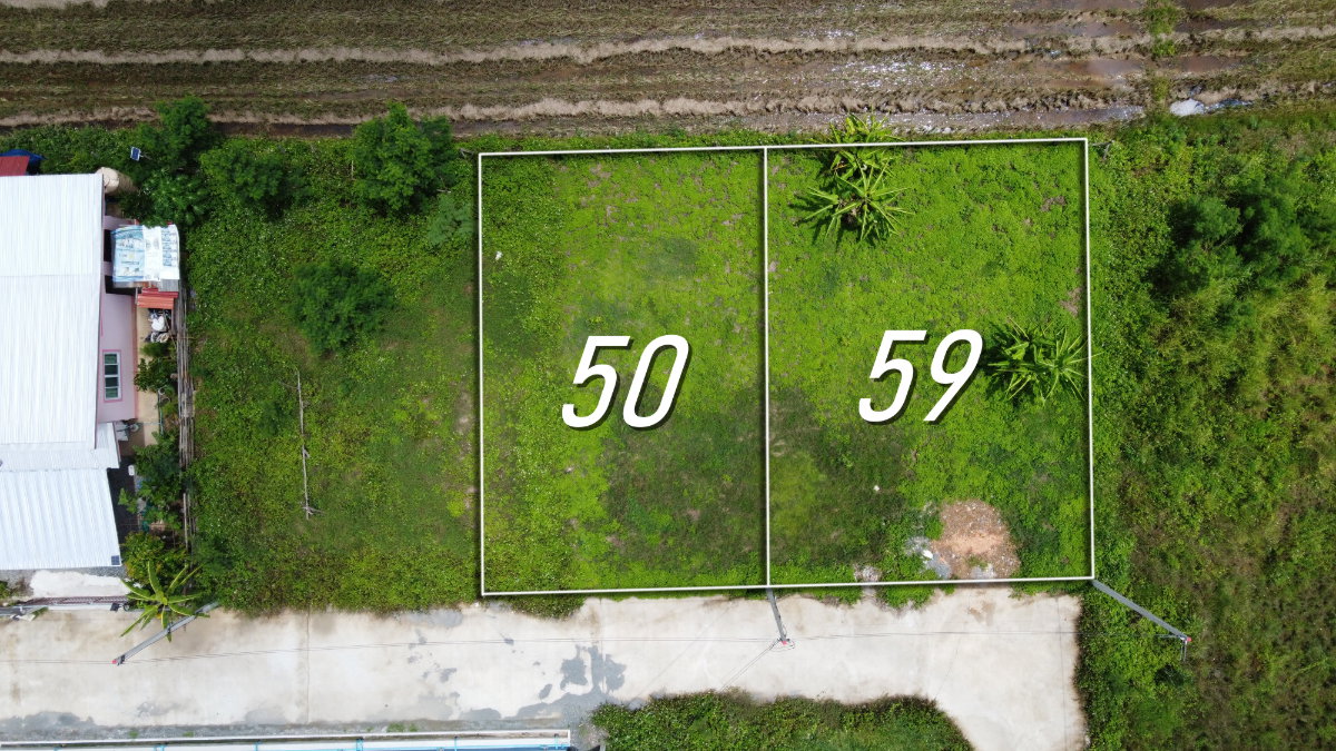 รูป ที่ดินแบ่งขาย 50 และ 59 ตร.ว. เริ่มต้น 320,000 บาท น้ำไฟถนนคอนกรีตพร้อม! - รูปที่ 3/8