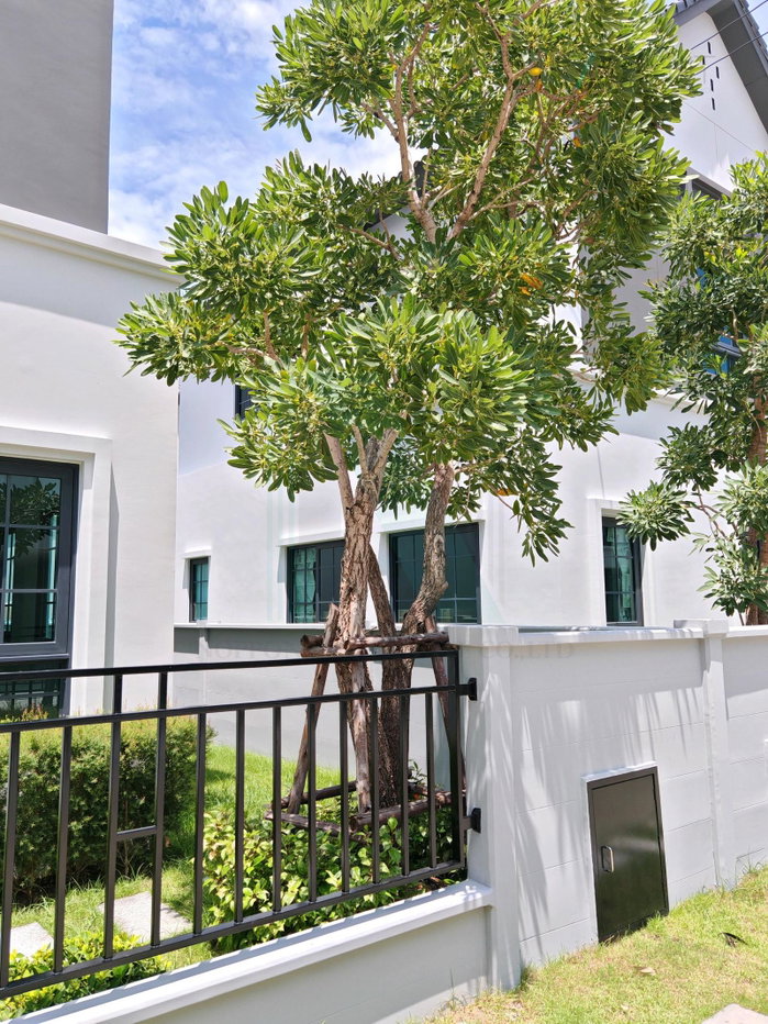 picture ð For Sell House CENTRO BANGNA 2-story 4 bedroom 4 bathroom - 3/8