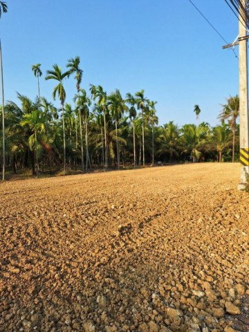 picture Land for rent on Phutthamonthon Sai 6 Road Sai 6 Market. Each plot measures 37.5 sq.wa. or 150 sq.m - 2/7