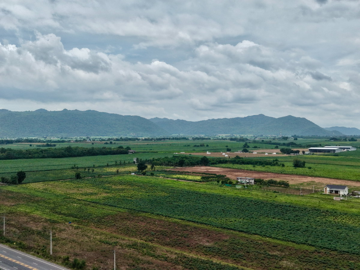 รูป ลดด่วน ต่อรองลดได้อีก ที่ดินบ้านสวนแก่งคอย ปลอดภัยมีเพื่อนบ้าน อากาศบริสุทธิ์ น้ำไม่ท่วม ใกล้เมือง - รูปที่ 15/22