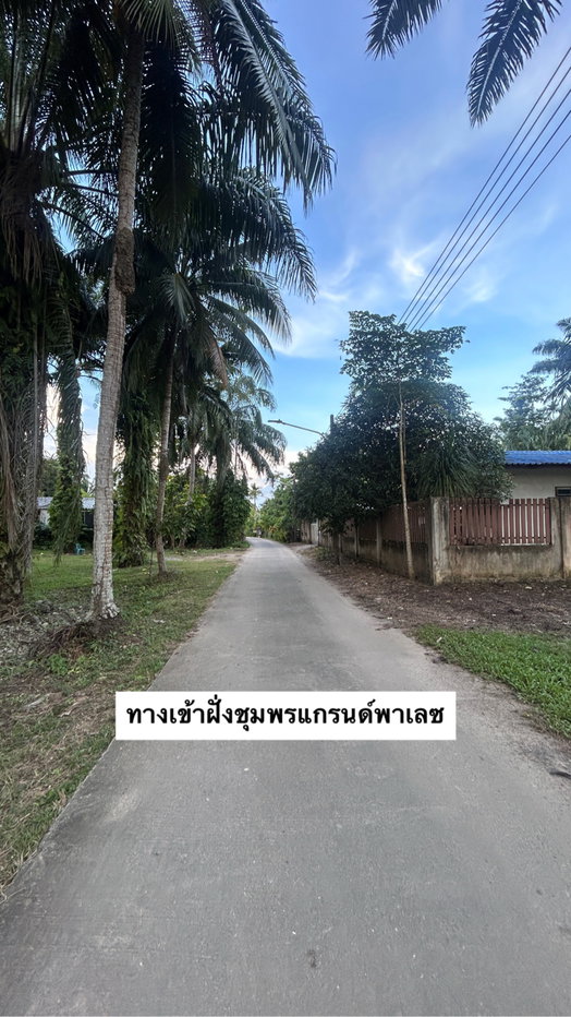 รูป ขายที่ดินปลูกบ้าน 58 ตารางวา ตำบลวังไผ่ อำเภอเมือง จังหวัดชุมพร (เข้าซอยเมืองชุมพร ประมาณ 500 เมตร) - รูปที่ 4/6