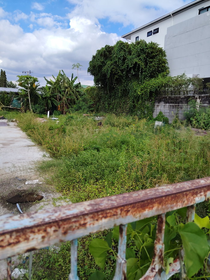 picture Land.In Good.location.for.Rent Good.price - 2/2