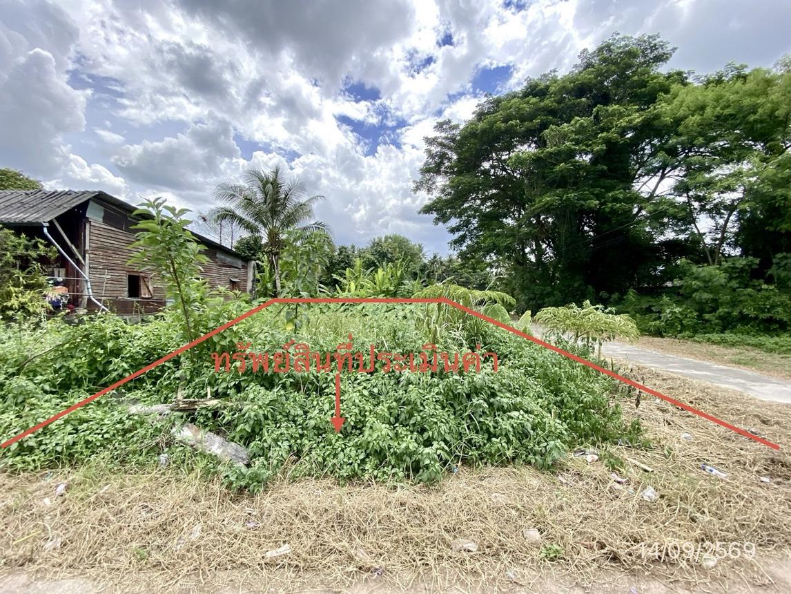 picture LAND 25.3 Sq.w. Thung Song Nakhon Sri Thammarat for 661,000 - 9/17