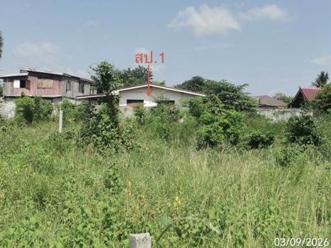 picture HOME 227 Sq.w. U Thong Suphanburi for 2.1M - 12/15