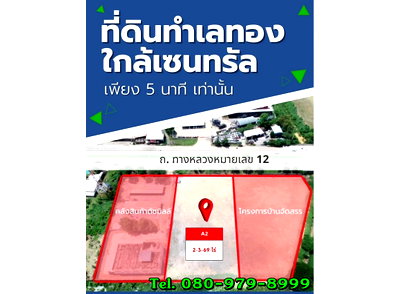 ที่ดิน ม.นเรศวร : ขายที่ดินเปล่า ถมแล้ว 2-3-69 ไร่ ติดถนนหมายเลข 12 พลายชุมพล เมืองพิษณุโลก ตรงข้าม SCG Home Solution พิษณุโลก / Call : 080-979-8999