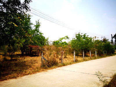 ที่ดิน นครราชสีมา (โคราช) : ขายที่ดินบ้านคลองตะแบก สีคิ้ว 267ตรว.