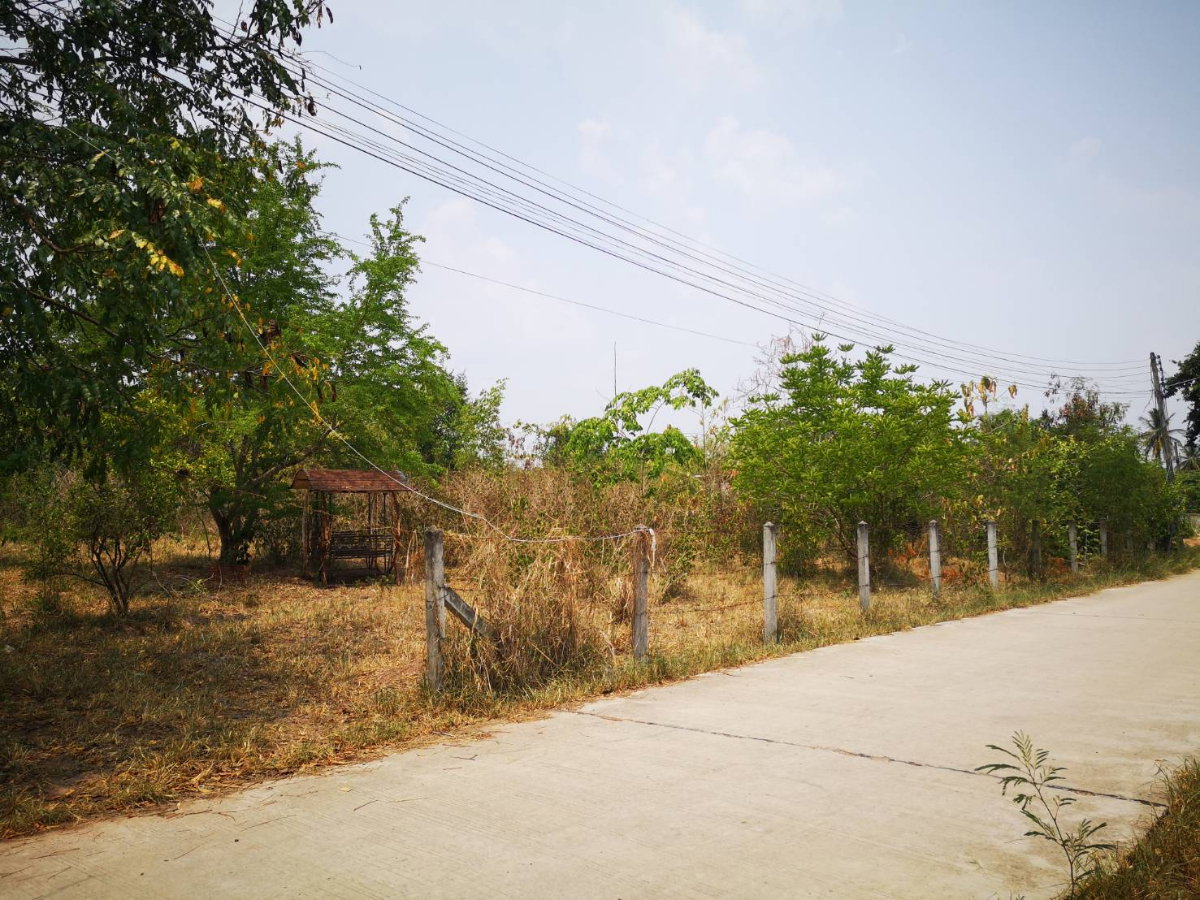 รูป ขายที่ดินบ้านคลองตะแบก สีคิ้ว 267ตรว. - รูปที่ 1/1