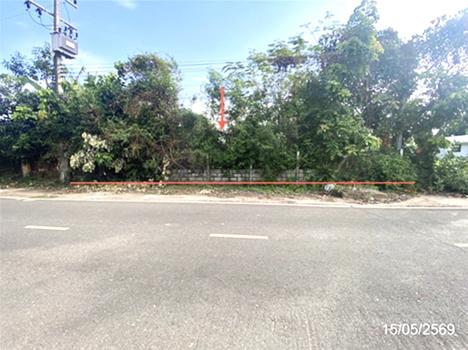picture LAND 205.9 Sq.w. Pho Chai Roi Et for 1M - 16/19