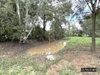 listing thumbnail image 29