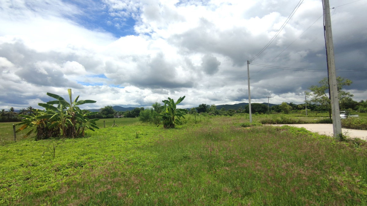 รูป ที่ดินแบ่งขาย 50 และ 59 ตร.ว. เริ่มต้น 320,000 บาท น้ำไฟถนนคอนกรีตพร้อม! - รูปที่ 7/8