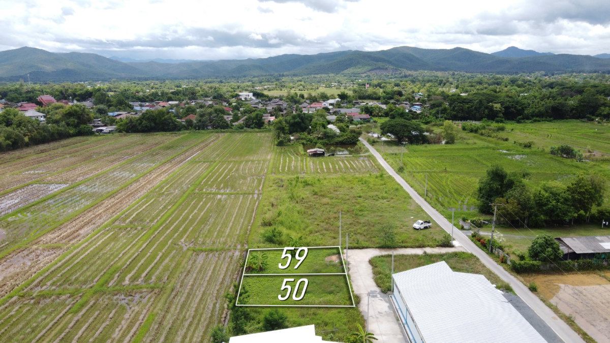 รูป ที่ดินแบ่งขาย 50 และ 59 ตร.ว. เริ่มต้น 320,000 บาท น้ำไฟถนนคอนกรีตพร้อม! - รูปที่ 2/8