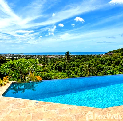 Houses for sale Surat Thani : 4 Bedroom Villa for sale in Bo Phut, Surat Thani  6536787