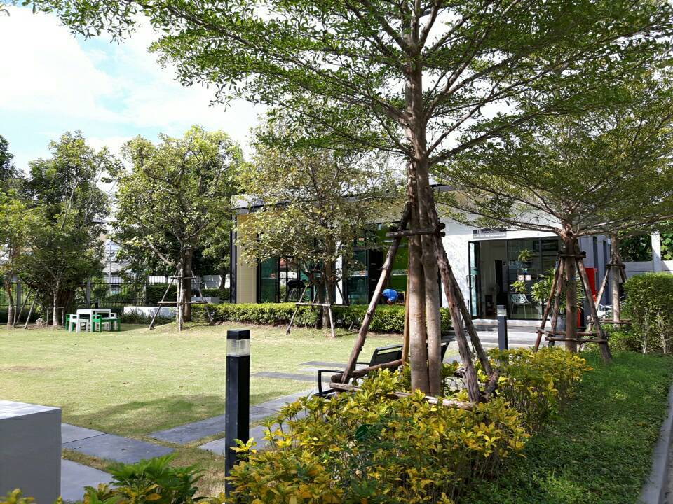 รูป ขายทาวน์โฮม 3ชั้น ลุมพินี ทาวน์ วิลล์ ศรีนครินทร์ - แบริ่ง ซอยศรีด่าน 18 ใกล้รถไฟฟ้า BTS แบริ่ง - รูปที่ 32/32