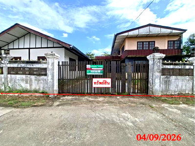 บ้านเดี่ยว เชียงใหม่ : บ้านเดี่ยว 203 ตร.วา สันกำแพง เชียงใหม่ 5.5M