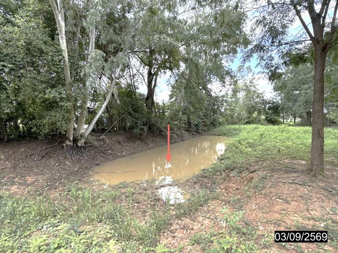 picture HOME 1683 Sq.w. Phu Khieo Chaiyaphum for 4.3M - 15/35