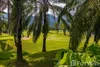 listing thumbnail image 46