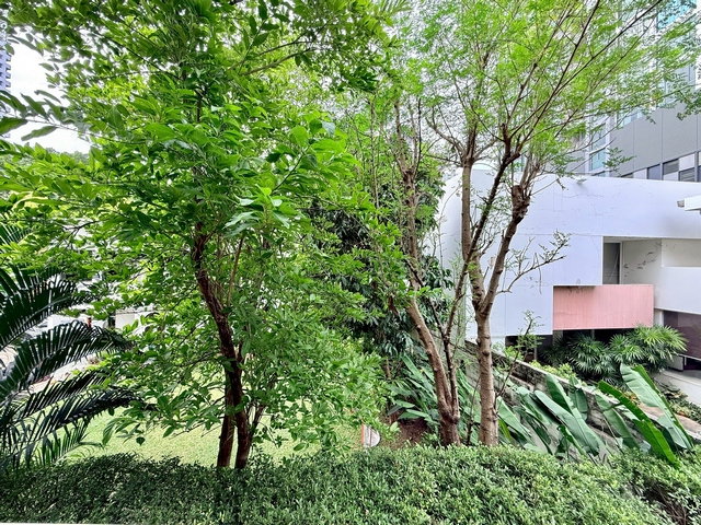 picture Beautiful 3 Bedroom Apartment For Rent in Thonglor Area - BR21459AP - 28/37
