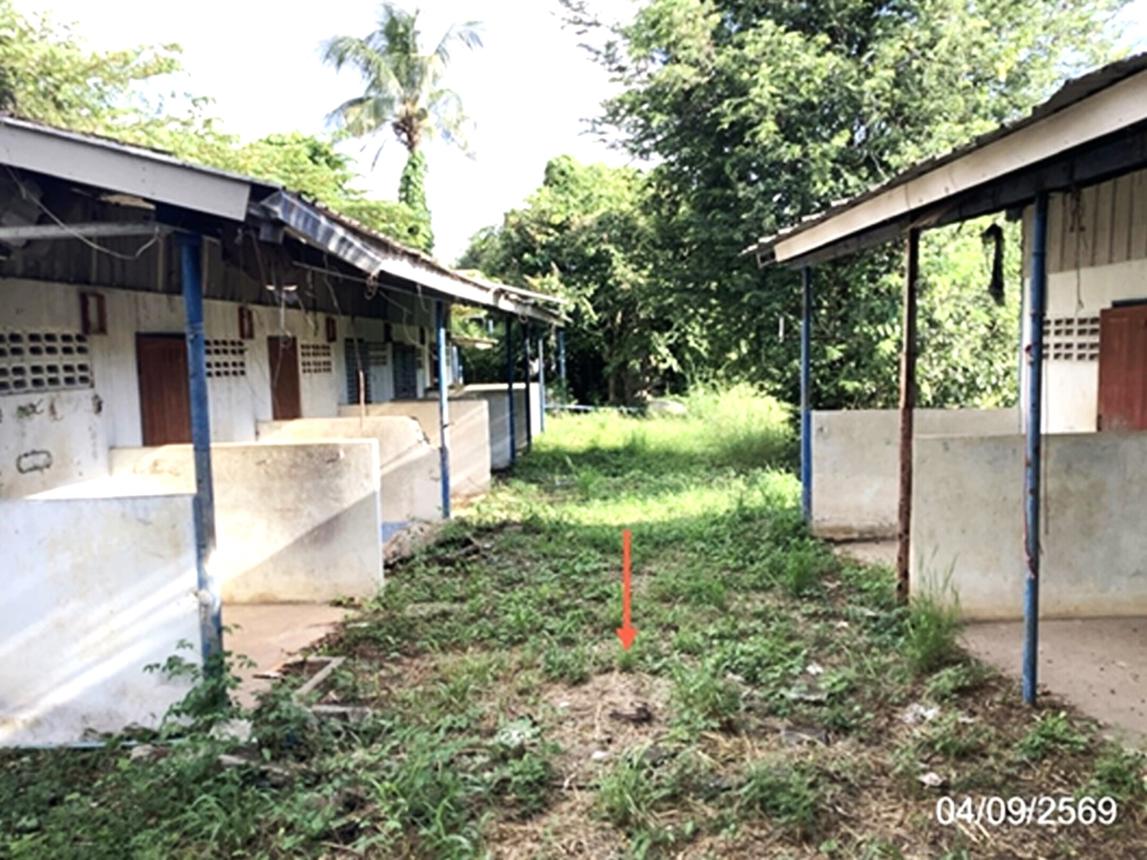 picture HOME 155 Sq.w. Phran Kratai Kamphaeng Phet for 1.1M - 26/31