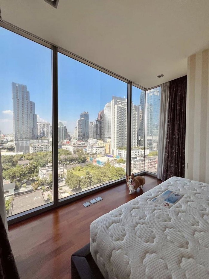 picture Ashton Morph 38 Luxury Condo for Rent/Sale! 🌟 - 2/7