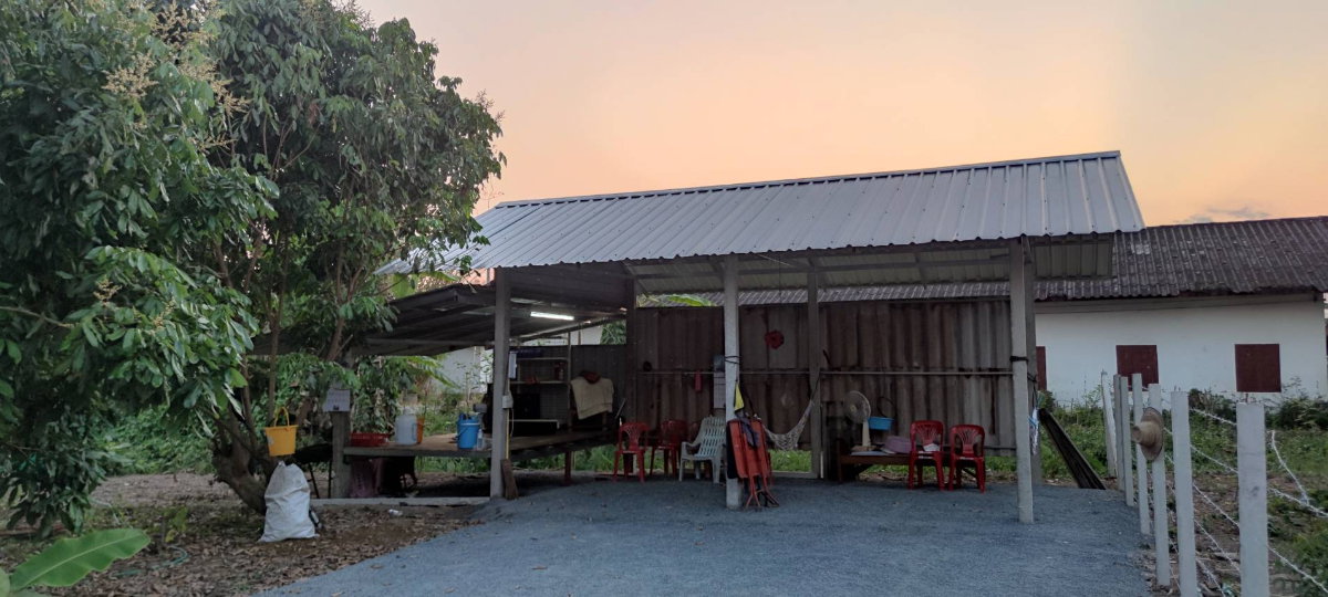 รูป ที่ดินสวนลำไย 1-1-25 ไร่ วิวภูเขา ติดถนนคอนกรีต 2 ด้าน อ.สันกำแพง - รูปที่ 8/13