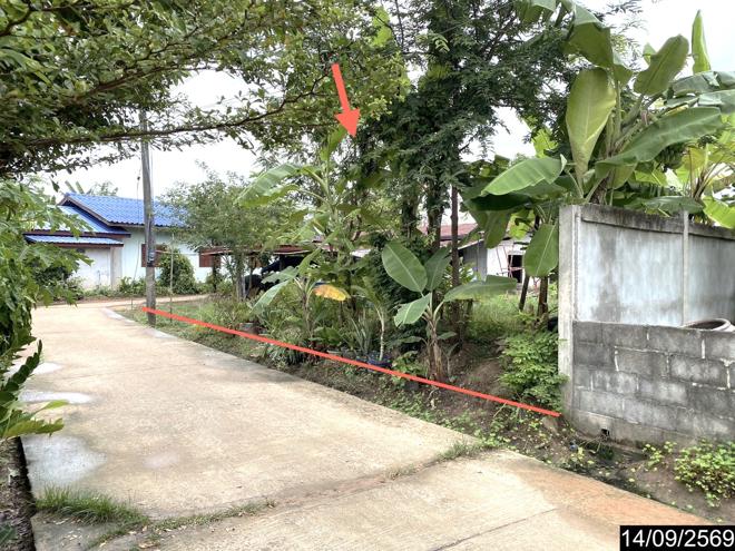 picture HOME 111 Sq.w. Non Sa-at Udon Thani for 477,000 - 2/21