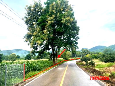 ขายที่ดิน : ที่ดินว่างเปล่า 5611 ตร.วา ลี้ ลำพูน 3.9M