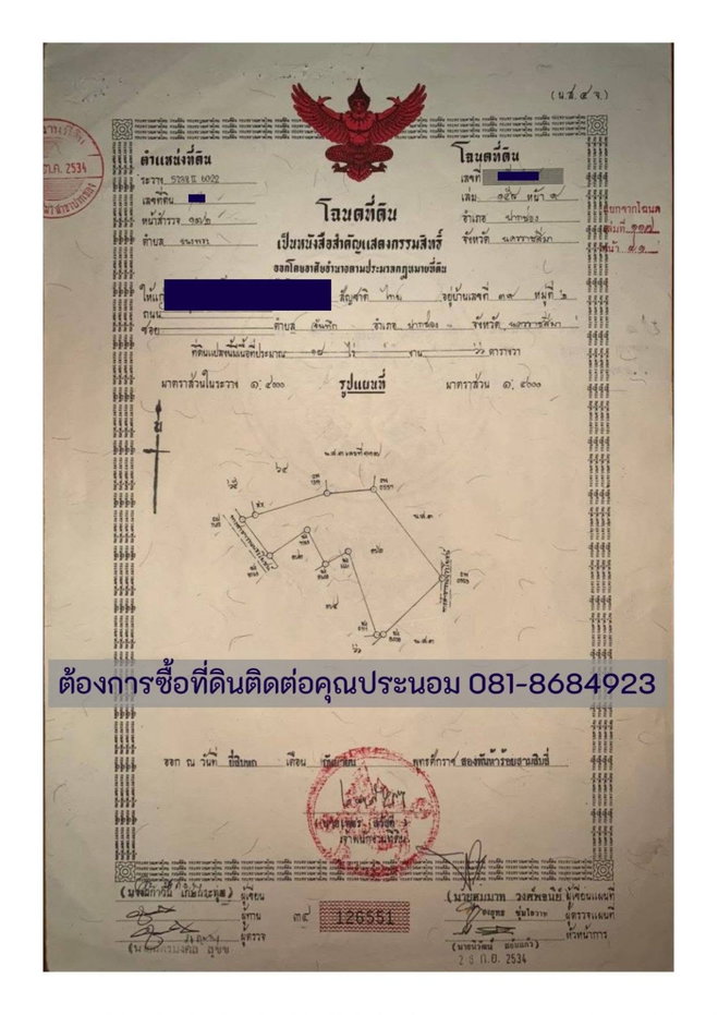 รูป ขายที่ดินแปลงใหญ่ ปากช่อง ติดถนนมิตรภาพ โฉนดที่ดิน ครุตแดง (น.ส.4.จ) 53 ไร่ 1 งาน 73.8 ตารางวา - รูปที่ 19/22