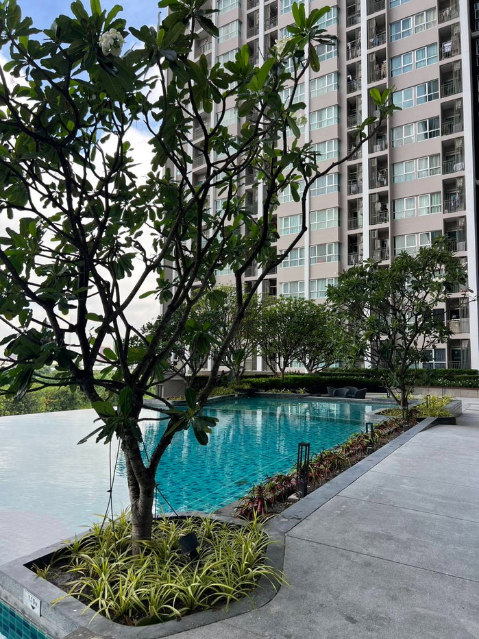 รูป 🎈 ว่างพร้อมให้เช่า ห้องใหม่มาก เพิ่งรีโนเวท Supalai veranda พระราม9 แบบ 1 ห้องนอน 37 ตรม.15,000/เดือน - รูปที่ 11/14