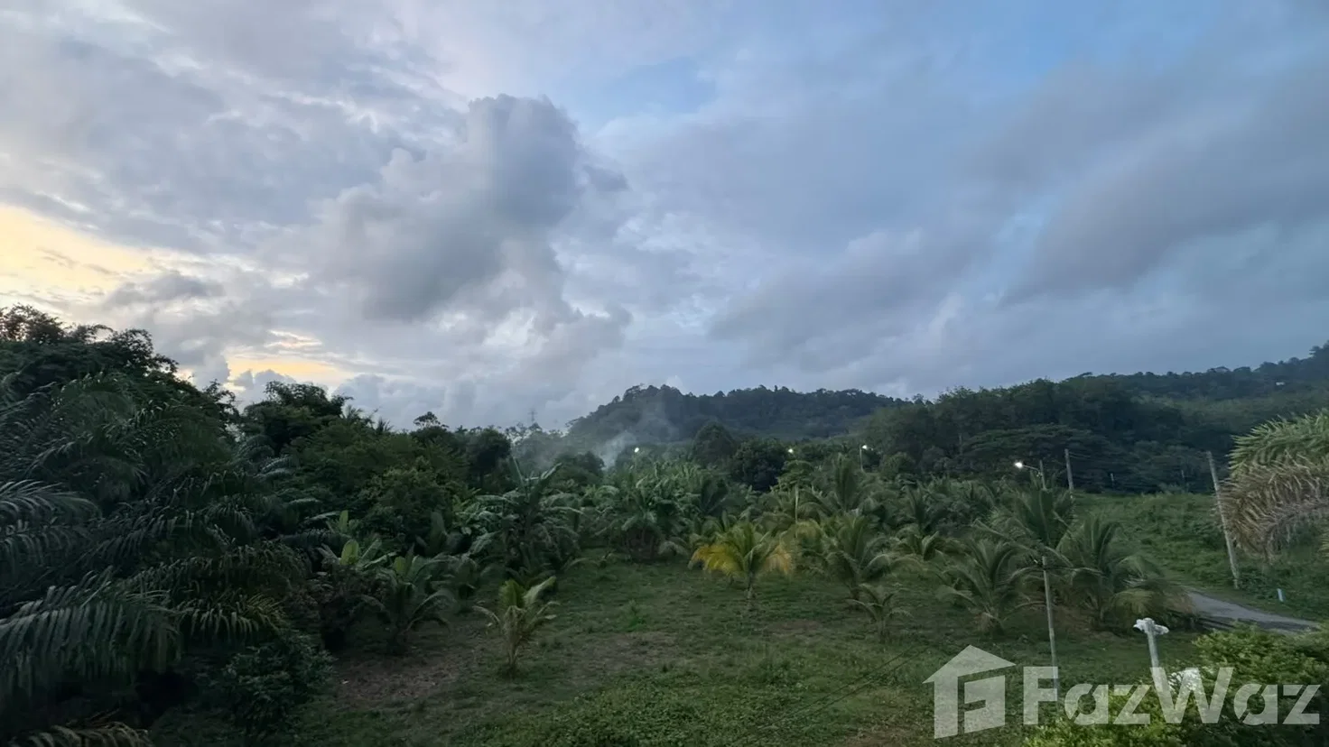 picture 4 Bedroom Villa for sale in Si Sunthon, Phuket  6752586 - 25/25