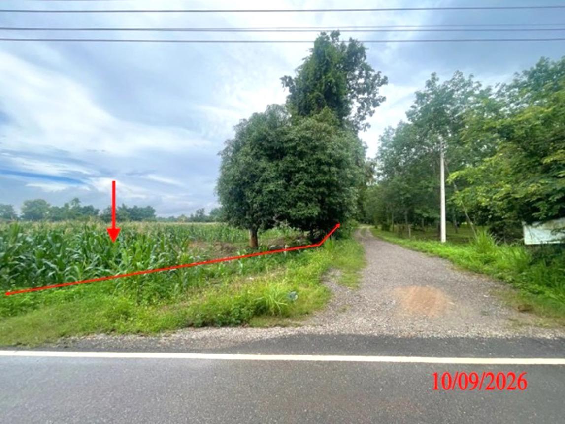 picture LAND 5611 Sq.w. Li Lamphun for 3.9M - 14/21
