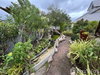 listing thumbnail image 11