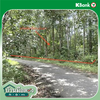 listing thumbnail image 14