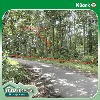 รูป ที่ดินว่างเปล่า 1347 ตร.วา นาทวี สงขลา 1.3M - รูปที่ 15/17