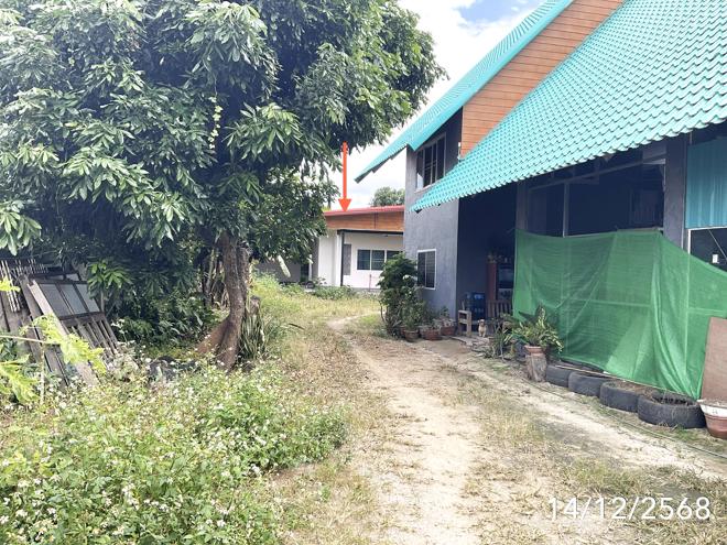 picture HOME 213 Sq.w. Wiang Pa Pao Chiang Rai for 6.5M - 5/15