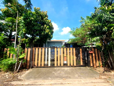 บ้านเดี่ยว กรุงเทพมหานคร : ขายบ้านเดี่ยว 100 ตารางวา ( ซ.พหลโยธิน 52 ) สายไหม 3 นอน 2 น้ำ ราคาดี