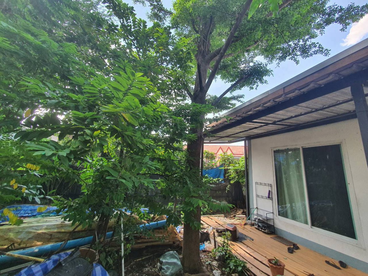 รูป ขายบ้านเดี่ยว 100 ตารางวา ( ซ.พหลโยธิน 52 ) สายไหม 3 นอน 2 น้ำ ราคาดี - รูปที่ 3/11