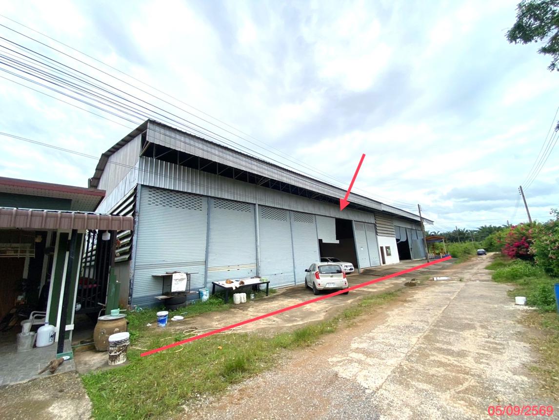 picture FACTORY 250 Sq.w. Sadao Songkhla for 5.8M - 16/29