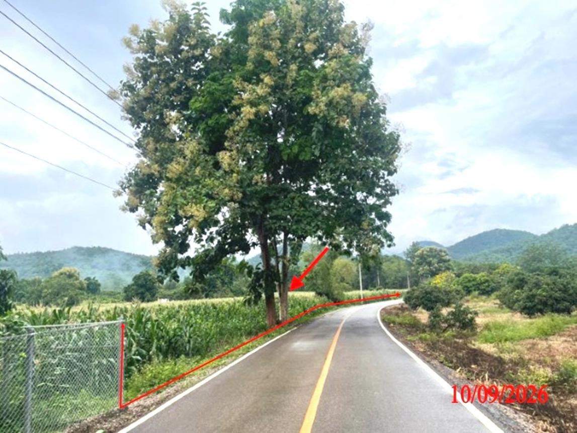 picture LAND 5611 Sq.w. Li Lamphun for 3.9M - 10/21