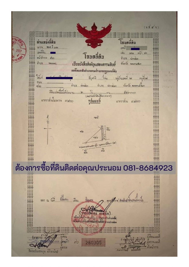 รูป ขายที่ดินแปลงใหญ่ ปากช่อง ติดถนนมิตรภาพ โฉนดที่ดิน ครุตแดง (น.ส.4.จ) 53 ไร่ 1 งาน 73.8 ตารางวา - รูปที่ 18/22