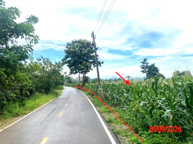 picture LAND 5611 Sq.w. Li Lamphun for 3.9M - 5/21