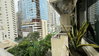 listing thumbnail image 10