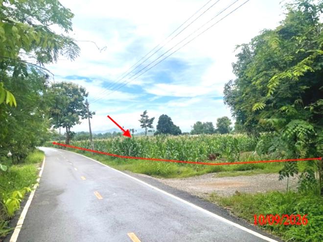 picture LAND 5611 Sq.w. Li Lamphun for 3.9M - 2/21