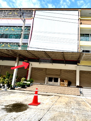 อาคารพาณิชย์ กรุงเทพมหานคร : ขายอาคารพาณิชย์  สำเพ็ง2 สาทร-กัลปพฤกษ์ หน้ากว้าง บางแคเหนือ เขต บางแค กรุงเทพ CX-180752 ✅ ทักไลน์ @connexproperty ตอบทันที ทีมงานมืออาชีพ ✅