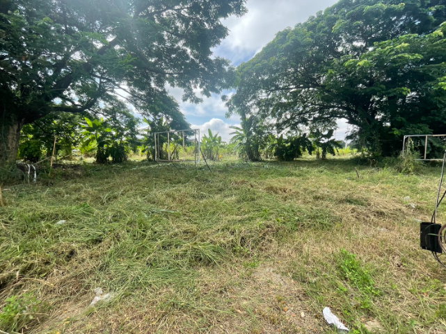 picture PRIME CORNER LAND FOR SALE IN CHIANG MAI, THAILAND - 5/7