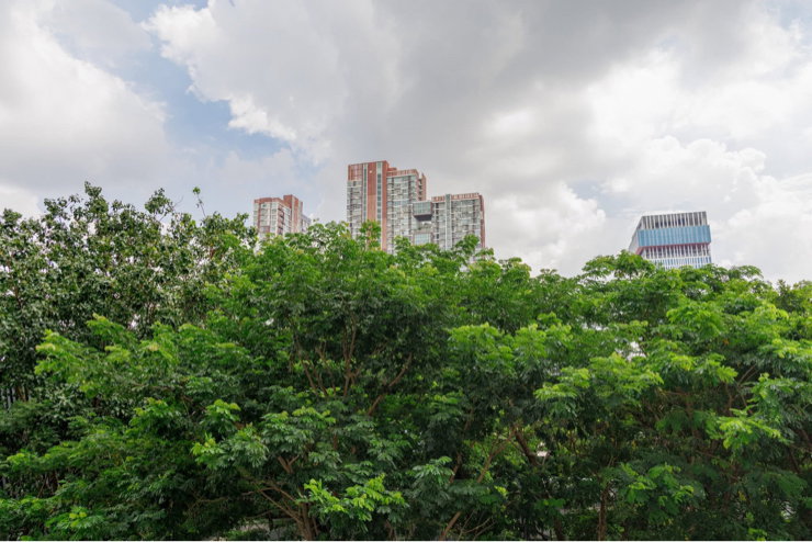 รูป 📌 New Room!! Regent Home Bangna 🏡 ห้องมือ 1 / บิ้วอินใหม่ / ห้องสวยสไตล์เรียบหรู - รูปที่ 12/21